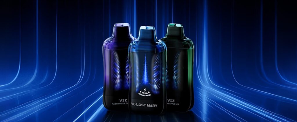 lost mary viz led