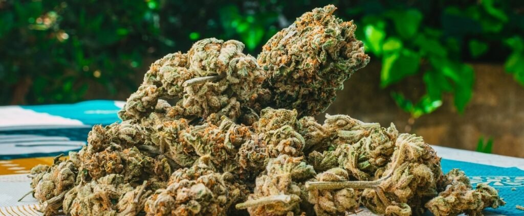will thca flowers be banned in tn