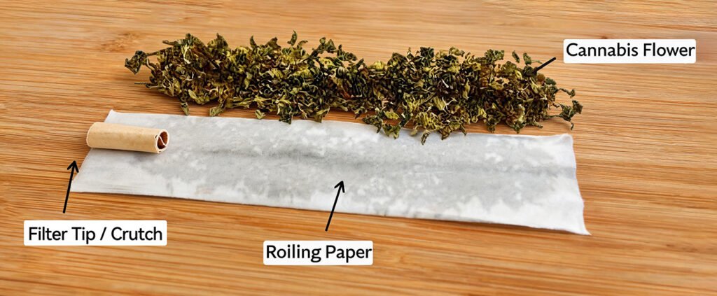 joint anatomy