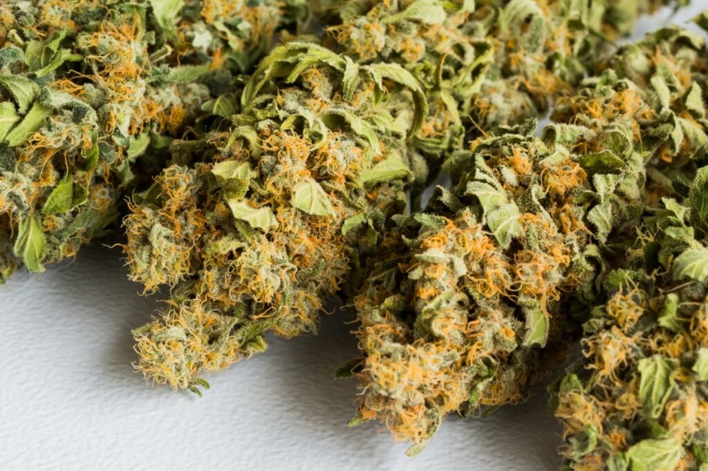is marijuana legal in the united states