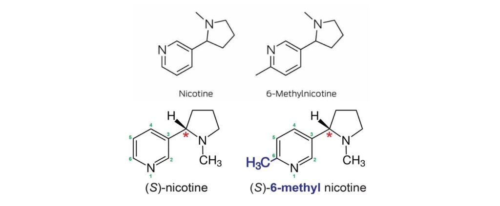 nixodine vs nicotine