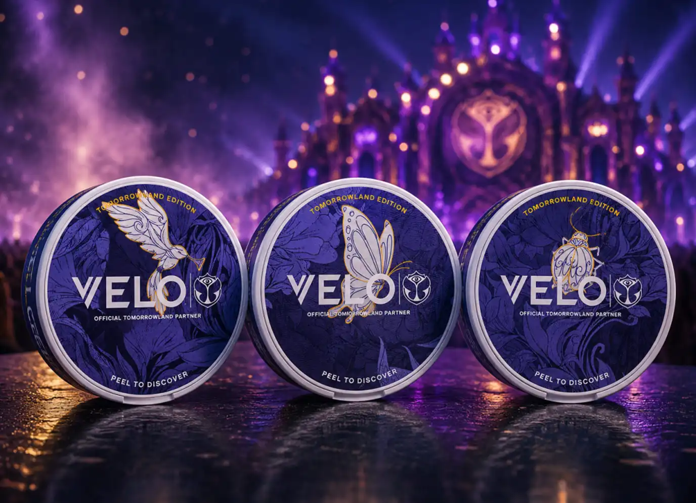 velo tomorrowland