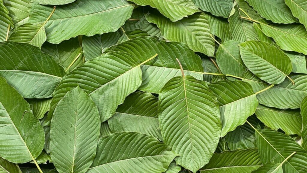 what is 7oh kratom leaves