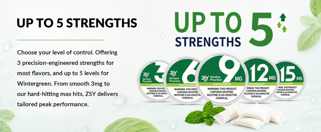 nicotine strengths of zsy nicotine pouches