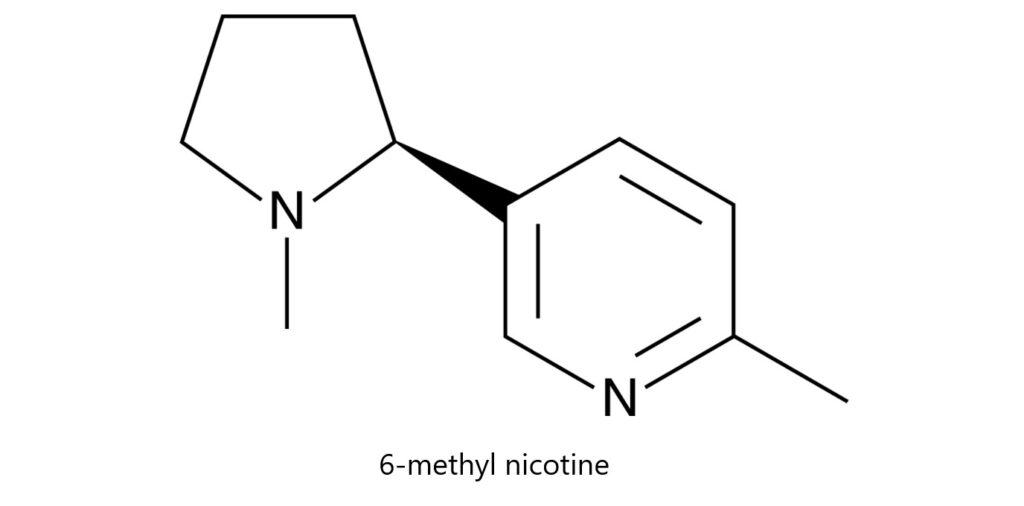6-methyl nicotine vape