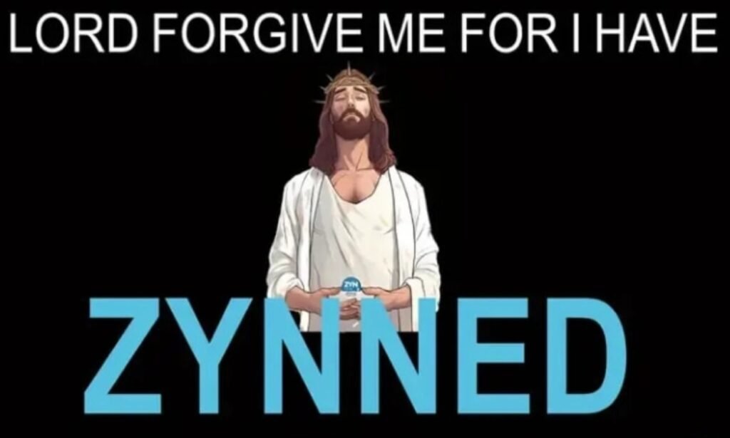 lord forgive me for I've zynned