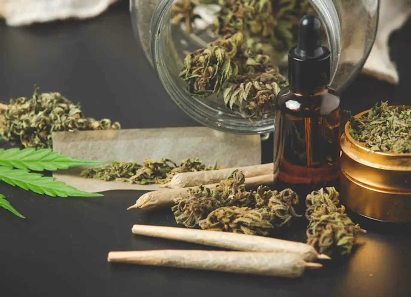 Sativa vs. Indica vs. Hybrid: A Beginner’s Guide to Choosing the Right Cannabinoids Experience